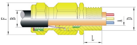 DT-□-□-Ⅴ Series Explosion-proof Cable Gland