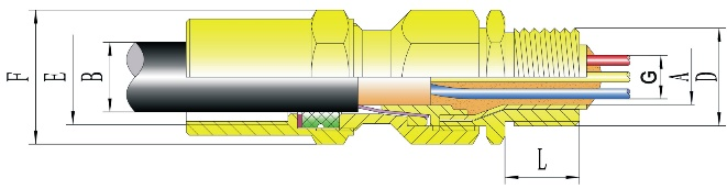 DT-□-□-Ⅱ Series Explosion-proof Cable Gland