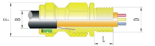 DT-□-□-Ⅵ Series Explosion-proof Cable Gland