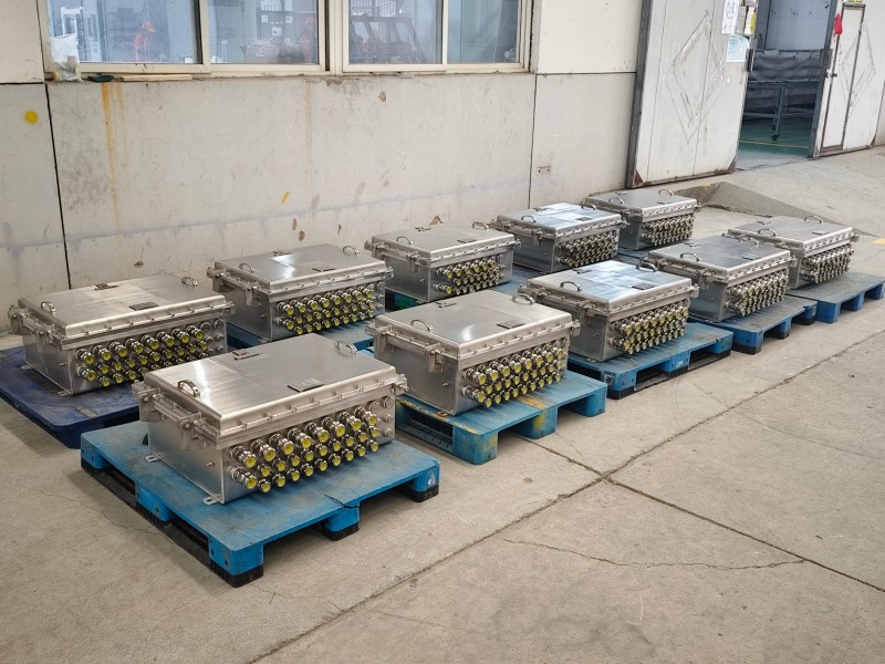 LD-FBJX Series Explosion-Proof Junction Box (Ex d IIC / DIP) – Flameproof Type
