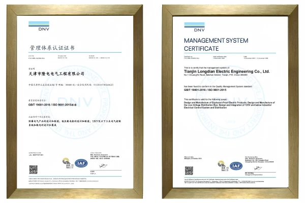 龙电更新 |龙电顺利通过ISO 9001三年换证审核